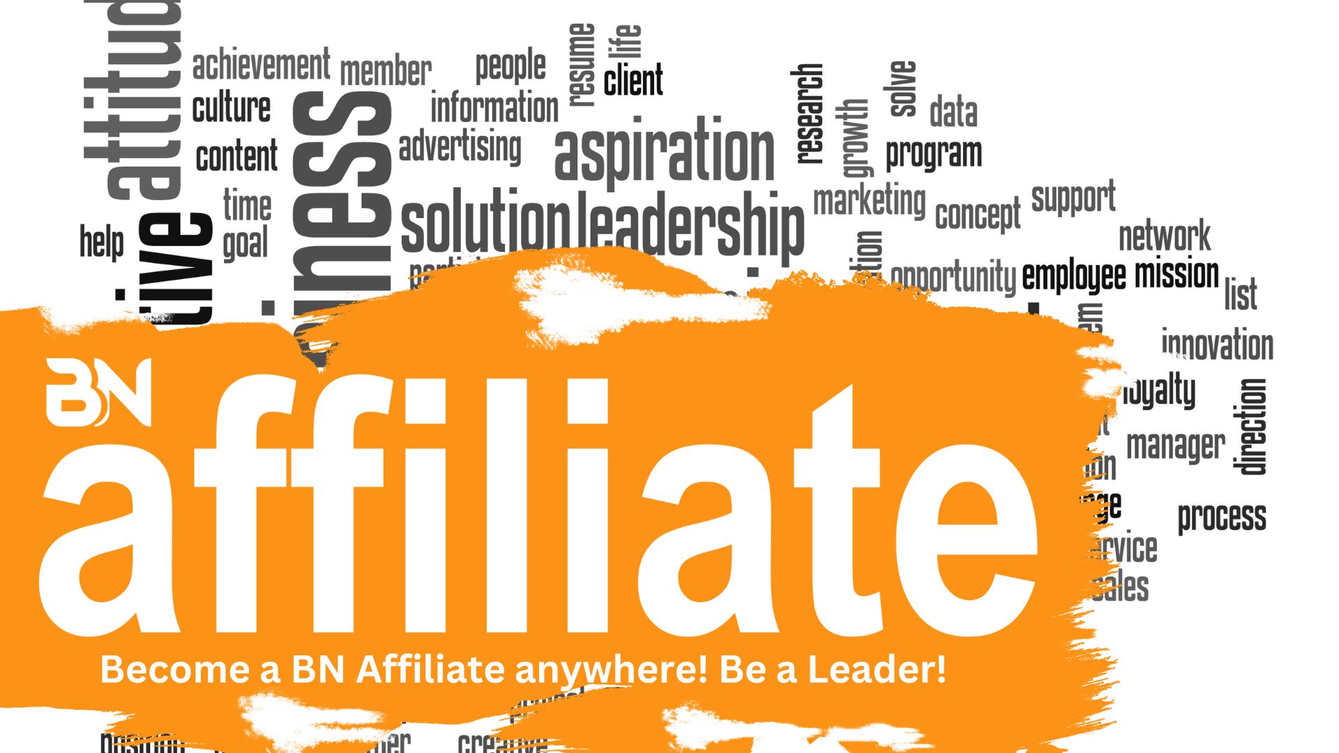A BN Affiliate operates independently under the Best Neighbors Inc. umbrella. You want to lead a Best Neighbors Inc. group anywhere?